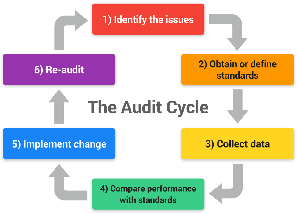 Article 2.Audit Cycle