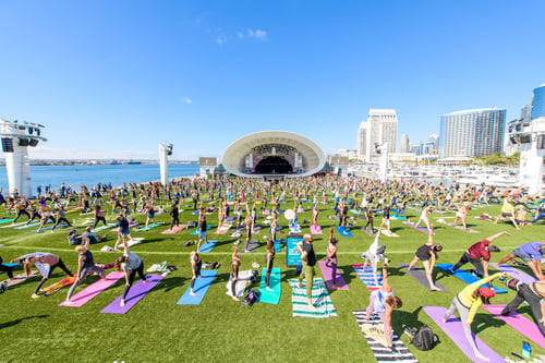 Shell Yoga