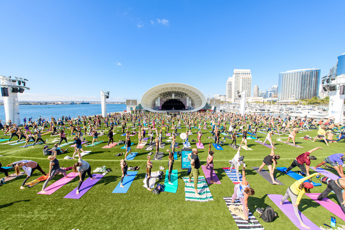 Shell Yoga