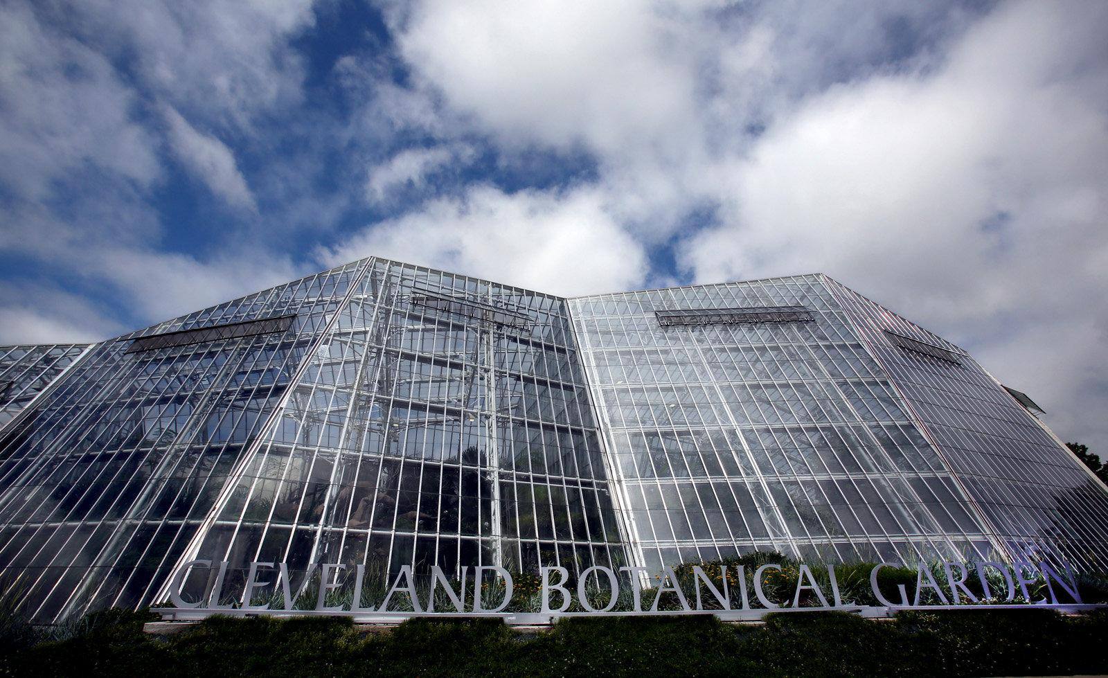 cbg biome