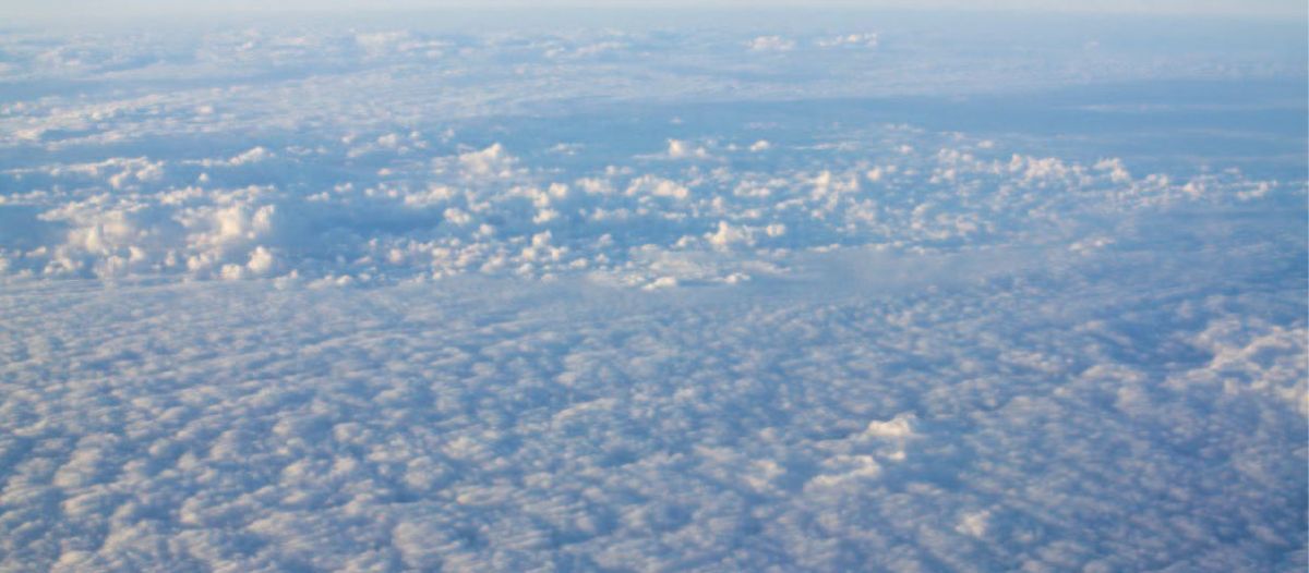 25 leaders for a sustainable future