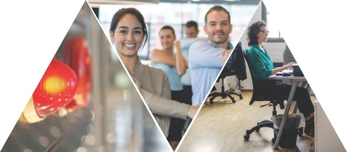 The hierarchy of considerations for employee wellness