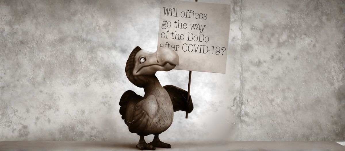 Will offices go the way of the DoDo?