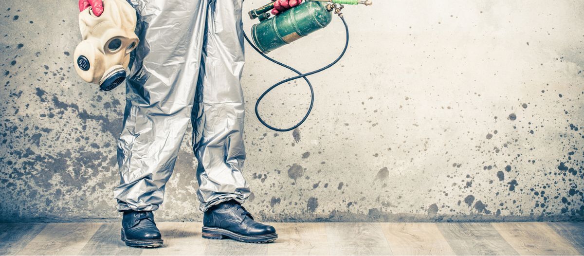 The unpredictable future of cleaning solutions