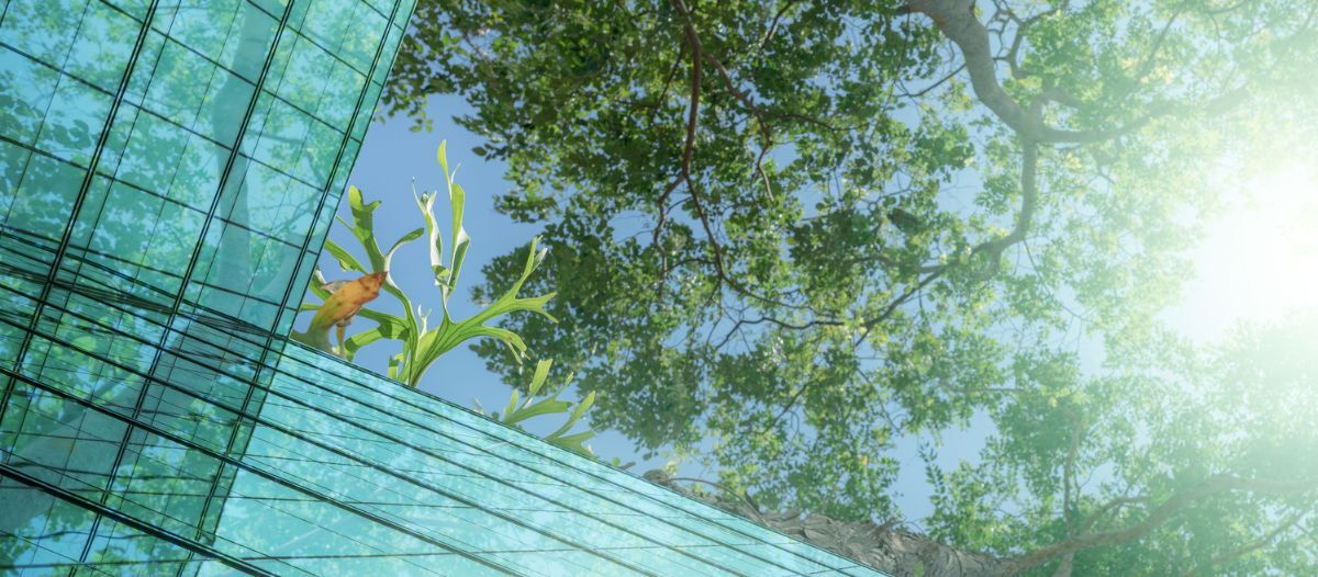 Increasing FM visibility in EU & beyond