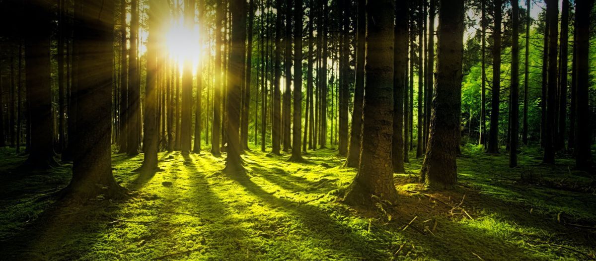 Staying earth friendly with hygiene products