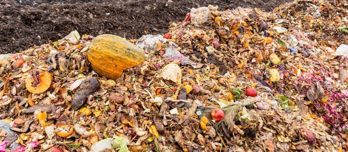 Turning food waste management into resource recovery