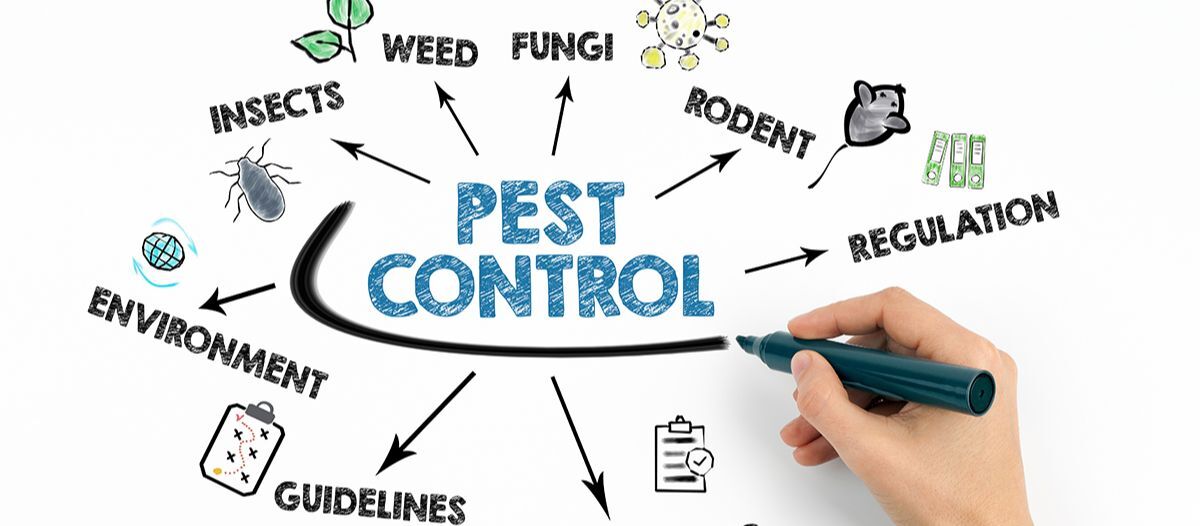 Ask 8 questions to find a provider that meshes with your facility