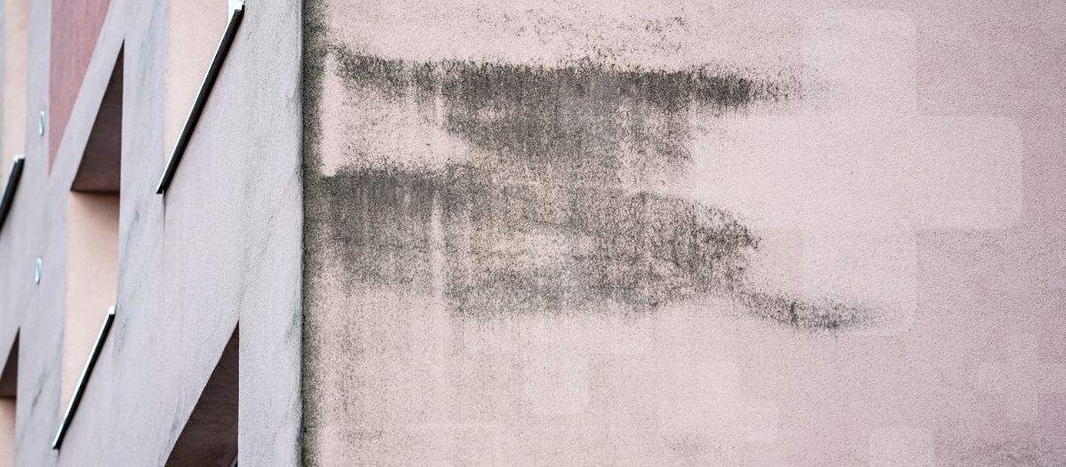 Controlling mold growth in exterior walls