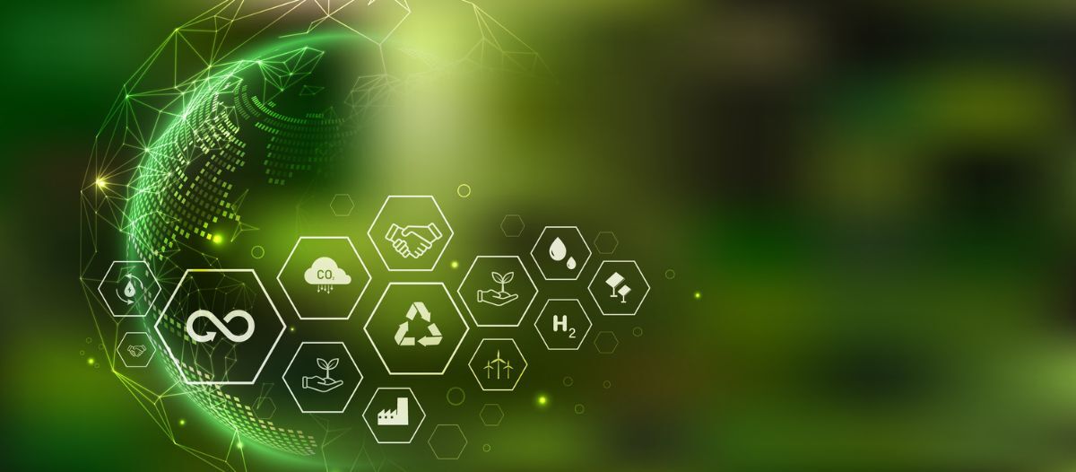 Redefining workplace value with regenerative design