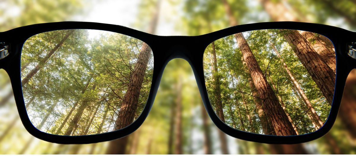 Seeing the forest, not just the trees