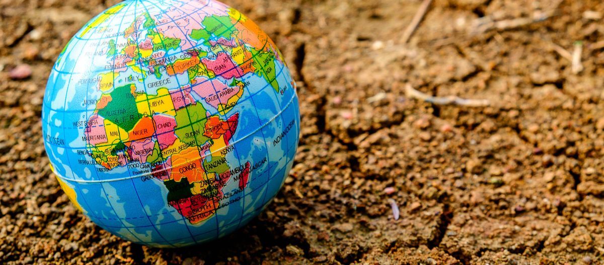 Planting the seeds of a budding industry