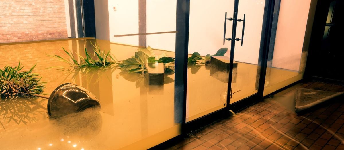 Why desiccant drying is a game-changer 