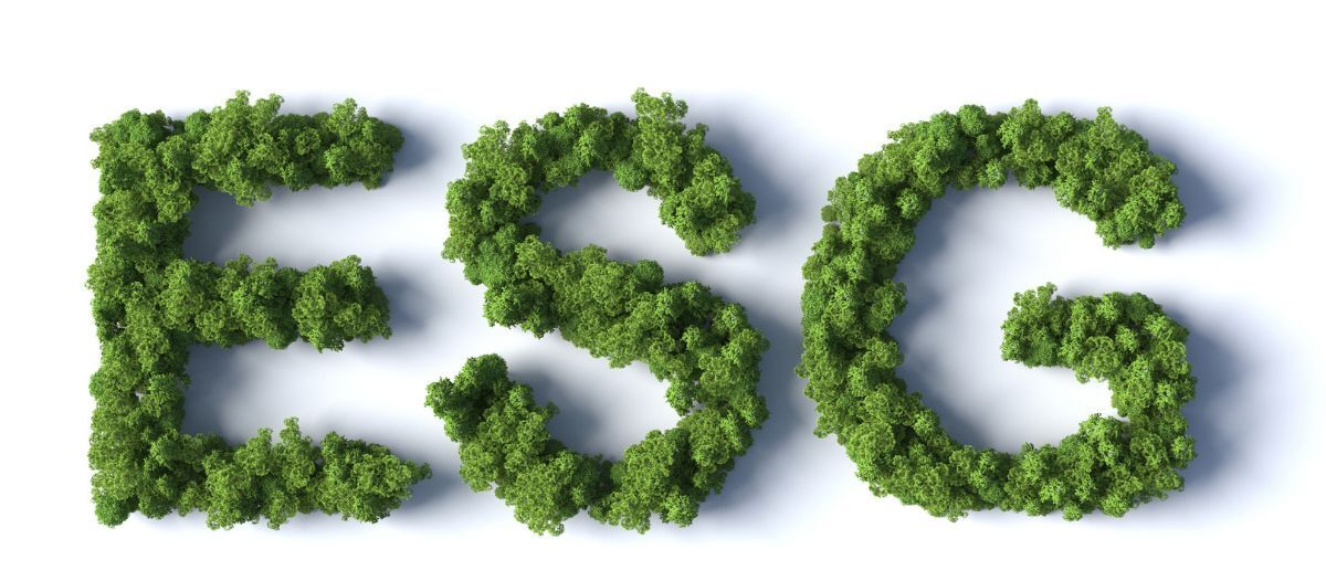 Previously known as sustainability and often denoted as the triple bottom line of people, planet and profit, ESG is the acronym for environment, social and governance. Whereas CSR (corporate social responsibility) is about an organization's sustainability agenda, ESG is about measurable actions and outcomes.