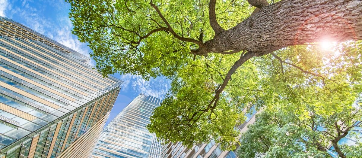 Sustainability Global Scale