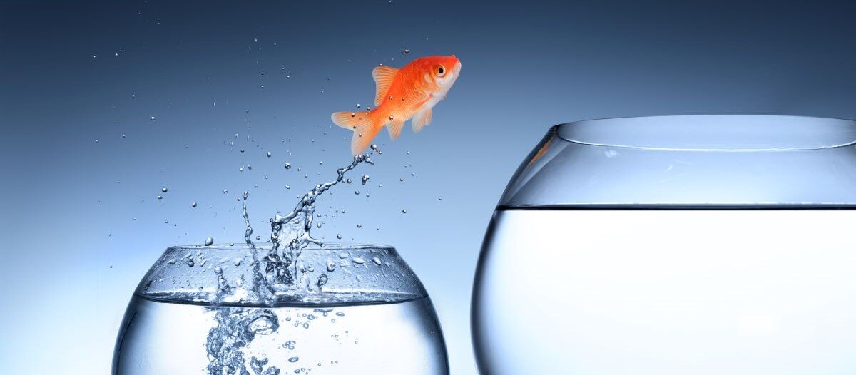 Talent Gap