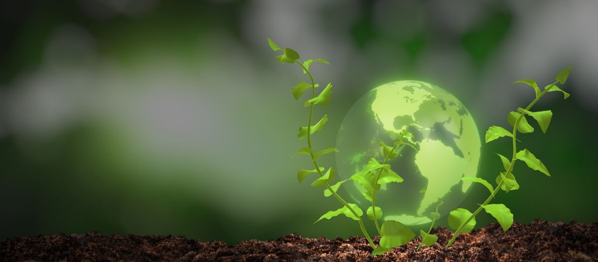 For green goals